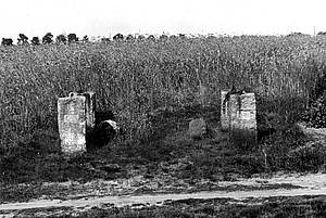 Die Prinzensteine in Südwinsen Ein Schwarz-Weiß-Foto von zwei steinernen Pfeilern, die in einer offenen Landschaft stehen. Im Hintergrund ist ein Feld mit hohem Gras oder Getreide zu sehen. Die Pfeiler sind von Vegetation umgeben und wirken verlassen und verwittert.