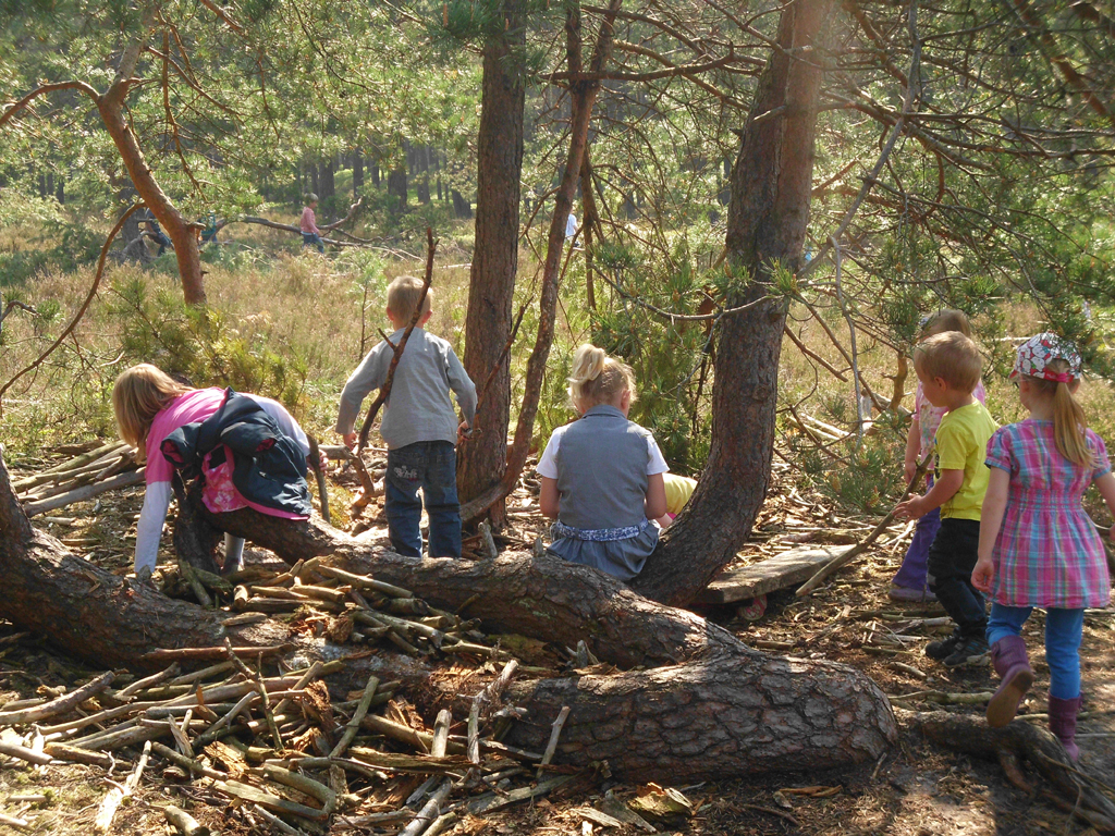 Kindertagesstätte Kleines Neues Land Eine Gruppe von Kindern spielt im Wald zwischen Bäumen und Ästen. Die Kinder tragen bunte Kleidung und sind mit verschiedenen Aktivitäten beschäftigt, wie Klettern auf Baumstämmen und Sammeln von Stöcken. Die Umgebung ist dicht bewaldet mit viel Unterholz und Sonnenlicht, das durch die Bäume fällt.